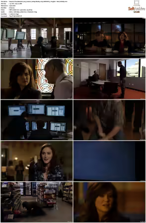 The Blacklist S01 1080p BluRay x265 SDR DDP 5 1 - DarQ HONE