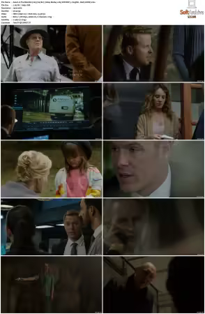 The Blacklist 2013 S07 1080p BluRay x265 SDR DDP 5 1 DarQ HONE