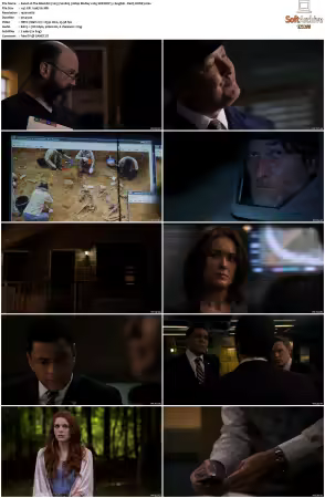The Blacklist 2013 S02 1080p BluRay x265 SDR DDP 5 1 - DarQ HONE