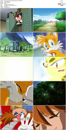 Sonic X 2003 S03 JAPANESE 480p BluRay DD5.1 AVC REMUX