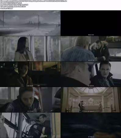 Cold Pursuit 2019 UHD BluRay 1080p DD Atmos 5.1 DoVi HDR10 x265-SM737