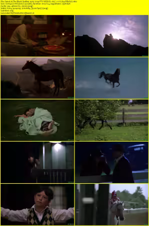The Black Stallion 1979 720p PTV WEB-DL AAC 2.0 H264-PiRaTeS