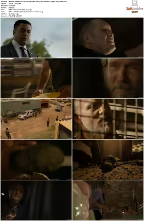 The Blacklist 2013 S07 1080p BluRay x265 SDR DDP 5 1 DarQ HONE