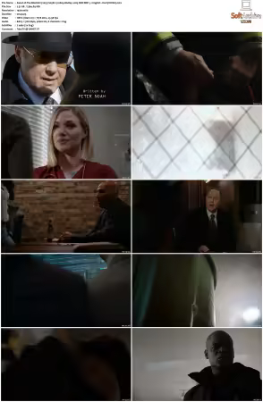 The Blacklist 2013 S05 1080p BluRay x265 DDP 5 1 - DarQ HONE