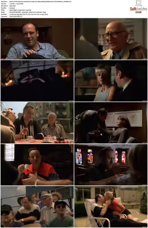 The Sopranos S01 1080p BluRay REMUX AVC DTS-HD MA 5.1-NOGRP