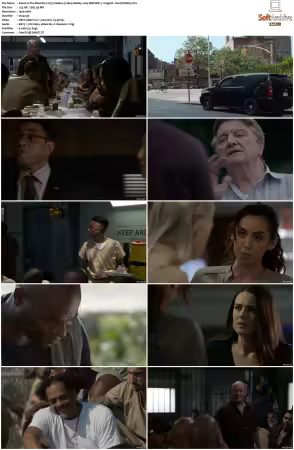 The Blacklist 2013 S06 1080p BluRay x265 SDR DDP 5 1 DarQ HONE