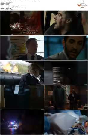 The Blacklist 2013 S05 1080p BluRay x265 DDP 5 1 - DarQ HONE