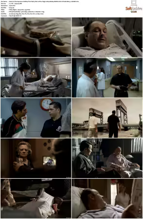 The Sopranos S06 1080p BluRay REMUX AVC DTS-HD MA 5.1-NOGRP