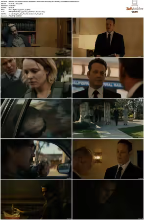 True Detective S02 2015 BluRay 1080p DTS-HD MA 5.1 AVC REMUX-FraMeSToR