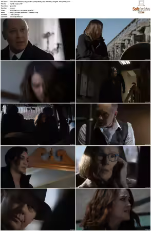The Blacklist 2013 S04 1080p BluRay x265 SDR DDP 5 1 DarQ HONE