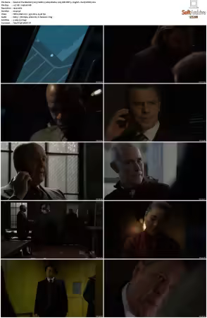 The Blacklist S08 1080p BluRay x265 SDR DDP 5 1 English - DarQ HONE