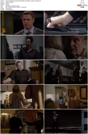 The Blacklist 2013 S04 1080p BluRay x265 SDR DDP 5 1 DarQ HONE