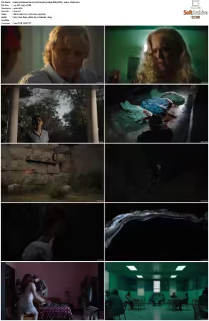 Channel Zero 2016 S01 S04 1080p BDRip DDP5 1 x265-Vialle