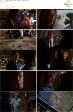 The X-Files S09 1080p Blu-ray REMUX AVC DTS-HD MA5.1-HDH
