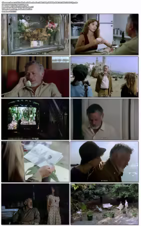 Girl with the Golden Panties 1980 1080p WEBRip DDP 2.0 10bit H265-iVy