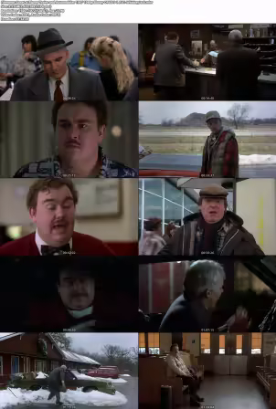 Planes Trains and Automobiles 1987 1080p Bluray OPUS 5.1 AV1-WhiskeyJack