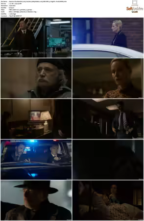 The Blacklist 2013 S07 1080p BluRay x265 SDR DDP 5 1 DarQ HONE