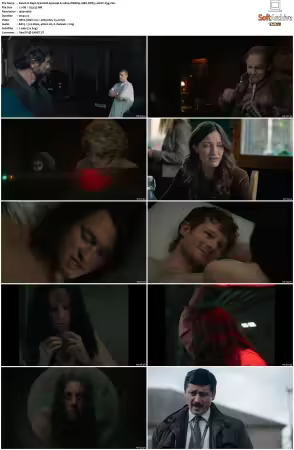 Dept. Q S01 1080p WEBRip 10Bit DDP5 1 HEVC-d3g