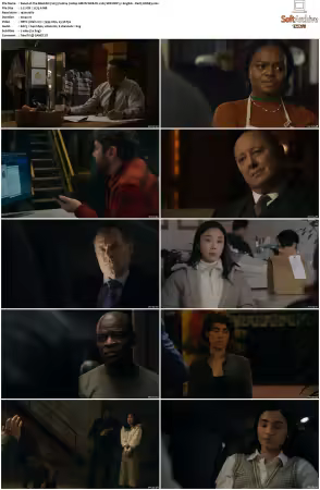 The Blacklist 2013 S10 1080p AMZN WEB-DL x265 SDR DDP 5 1 English - DarQ HONE