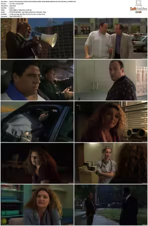 The Sopranos S02 1080p BluRay REMUX AVC DTS-HD MA 5 1-NOGRP