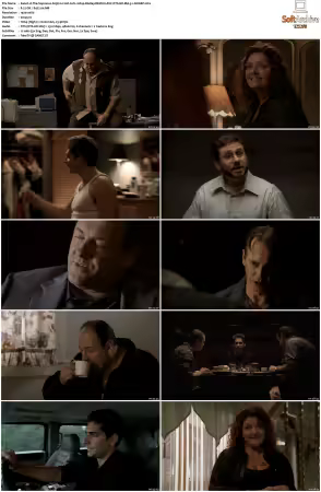 The Sopranos S05 1080p BluRay REMUX AVC DTS-HD MA 5.1-NOGRP
