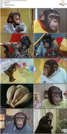 Lancelot Link Secret Chimp S01 NTSC DVDRip DD2 0 H264-BTN