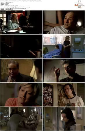 The Sopranos S06 1080p BluRay REMUX AVC DTS-HD MA 5.1-NOGRP