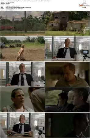 True Detective S01 BluRay 1080p AVC DTS-HD MA 5.1 REMUX-FraMeSToR