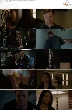 The Blacklist 2013 S09 1080p AMZN WEB-DL x265 SDR DDP 5.1 DarQ HONE