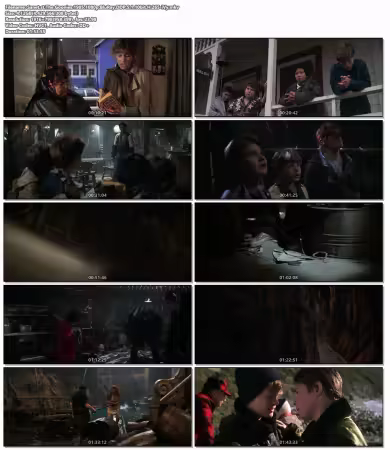 The Goonies 1985 1080p BluRay DDP 5.1 10bit H265-iVy