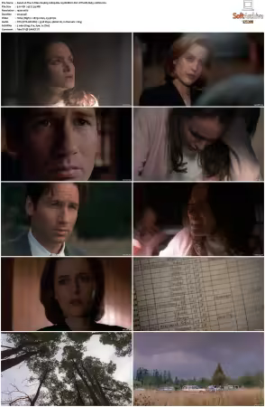 The X-Files S04 1080p Blu-ray REMUX AVC DTS-HD MA5.1-HDH