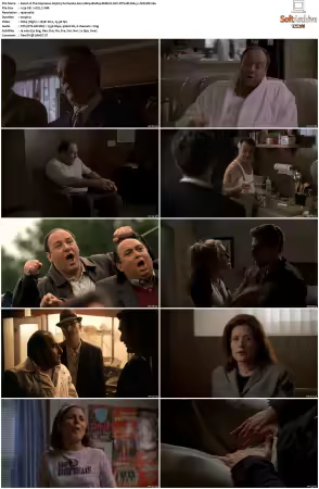 The Sopranos S03 1080p BluRay REMUX AVC DTS-HD MA 5.1-NOGRP