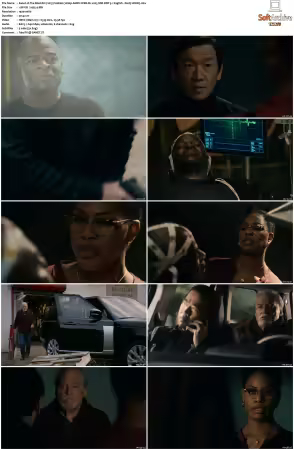 The Blacklist 2013 S10 1080p AMZN WEB-DL x265 SDR DDP 5 1 English - DarQ HONE