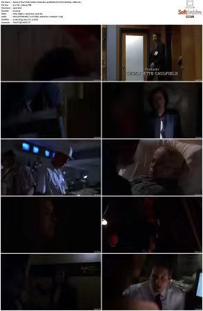 The X-Files S06 1080p Blu-ray REMUX AVC DTS-HD MA5 1-HDH