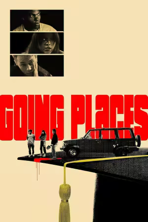 Going Places 2025 1080p AMZN WEB-DL DD 5.1 H264-playWEB