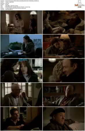 The Sopranos S06 1080p BluRay REMUX AVC DTS-HD MA 5.1-NOGRP
