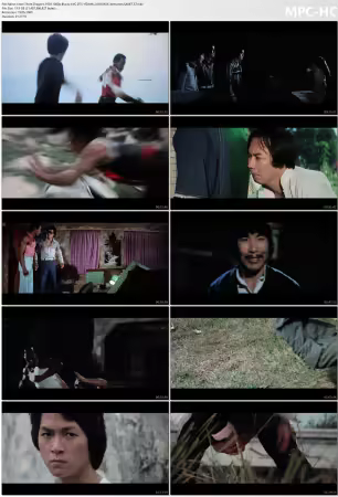 Enter Three Dragons 1978 1080p Bluray AVC DTS-HD MA 2.0 REMUX-demonen