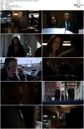The Blacklist 2013 S02 1080p BluRay x265 SDR DDP 5 1 - DarQ HONE