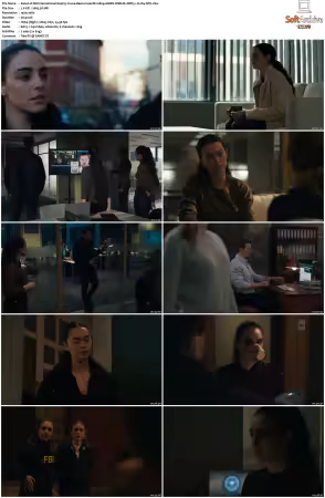 FBI International S04 1080p AMZN WEB-DL DDP5.1 H264-NTb