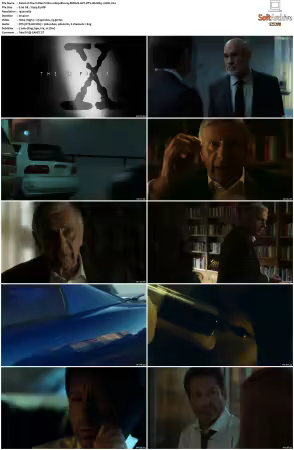 The X-Files S11 1080p Blu-ray REMUX AVC DTS-HD MA5.1-HDH