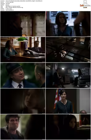 The Blacklist 2013 S02 1080p BluRay x265 SDR DDP 5 1 - DarQ HONE