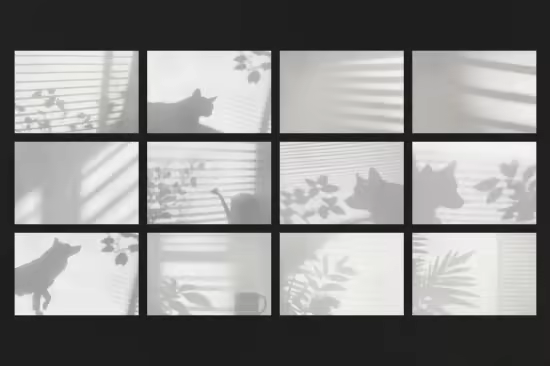 Floral Dog Shadows Overlays - GT9UJ7Y