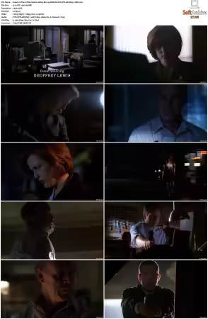 The X-Files S06 1080p Blu-ray REMUX AVC DTS-HD MA5 1-HDH