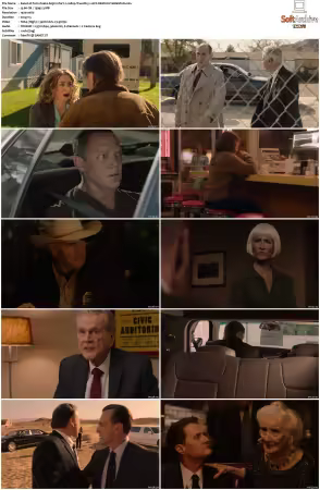 Twin Peaks S03 BluRay 1080p TrueHD 5.1 AVC REMUX-FraMeSToR