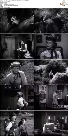 Annie Oakley 1954 S01 S03 NTSC DVD AAC 2.0 H264-ARCHIVED