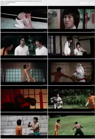 Enter the Game of Death 1978 1080p BluRay AVC DTS-HD MA 2.0 REMUX-demonen