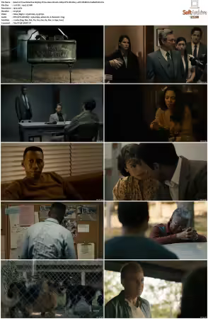 True Detective S03 BluRay 1080p DTS-HD MA 5.1 AVC REMUX-FraMeSToR