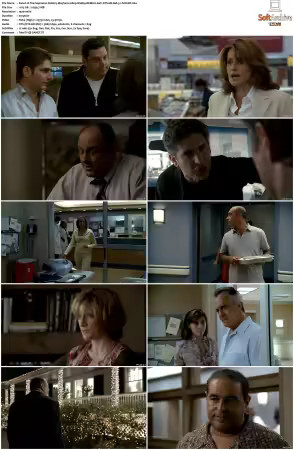 The Sopranos S06 1080p BluRay REMUX AVC DTS-HD MA 5.1-NOGRP