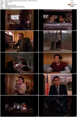 Twin Peaks S01 BluRay 1080p DTS-HD MA 7 1 AVC REMUX-FraMeSToR