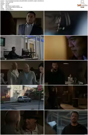 The Blacklist 2013 S09 1080p AMZN WEB-DL x265 SDR DDP 5.1 DarQ HONE